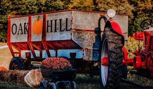 Oak Hill Corn Maze and Tree Farm